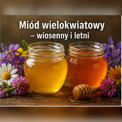 Miód wielokwiatowy wiosenny i letni – porównanie barwy i charakteru
