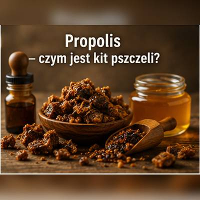 Propolis, czyli kit pszczeli – żywiczny produkt z ula